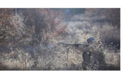 打猎视频,揭秘狩猎场上的惊心动魄瞬间