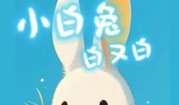 小白兔白又白儿歌视频,童趣盎然，传递温馨童年记忆