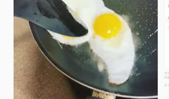 煎蛋视频,揭秘美食制作背后的故事与技巧