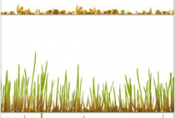 小草视频,捕捉生活瞬间，展现人间真情