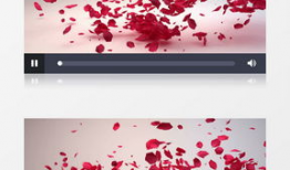 花瓣视频,捕捉生活瞬间，记录美好时光