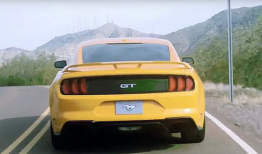 野马视频,探寻狂野之美，捕捉自然瞬间