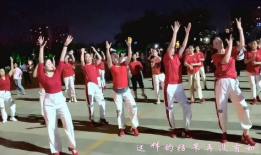 32步广场舞视频大全,轻松学舞，快乐健身