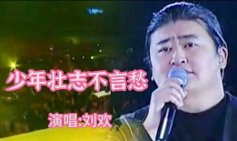 少年壮志不言愁视频,青春热血的奋斗篇章