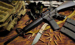 枪械视频,从外观到性能的全方位解析