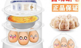 蒸蛋器的使用方法视频,轻松掌握视频教程