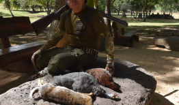 打猎视频,揭秘狩猎场上的惊心动魄瞬间