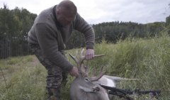 打猎视频,揭秘狩猎场上的惊心动魄瞬间