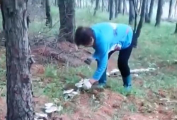 采蘑菇视频,跟随采蘑菇视频，体验大自然的馈赠