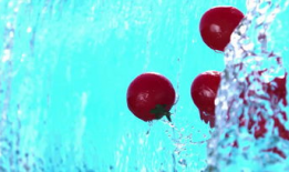 番茄视频,短视频时代的潮流风向标