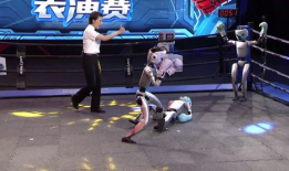 机器人格斗大赛视频,钢铁战士的巅峰对决